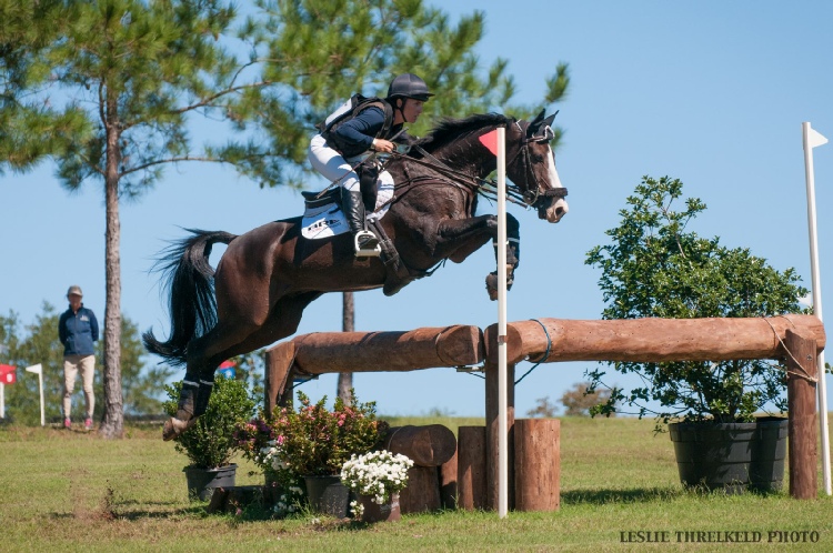 Hit Air Equestrian A person riding on the back of a brown horse.