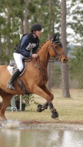 A person riding on the back of a horse.