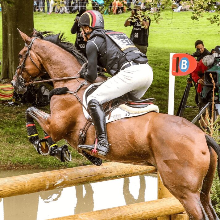 A person riding on the back of a brown horse.
