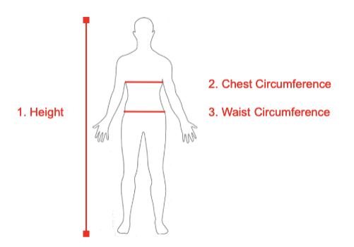 A person 's body measurements are shown in red.